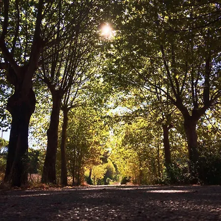 Casa de Férias Casa Moinho Do Oeste - West Windmill Portugal Moledo (Lisbon)